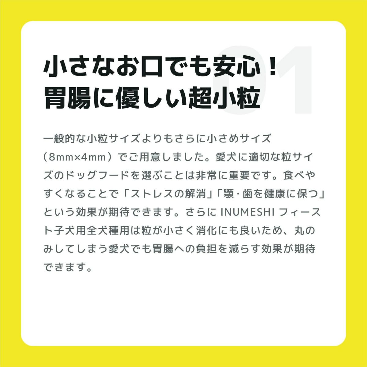 INUMESHI　フィースト　子犬用　全犬種用　5kg