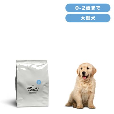 INUMESHI　フィースト　子犬用　大型犬用　5kg