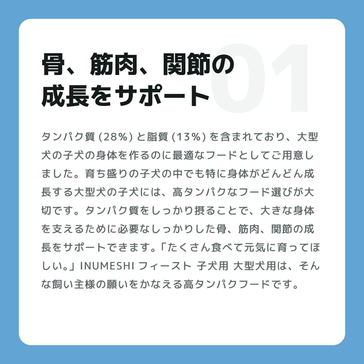 INUMESHI　フィースト　子犬用　大型犬用　5kg