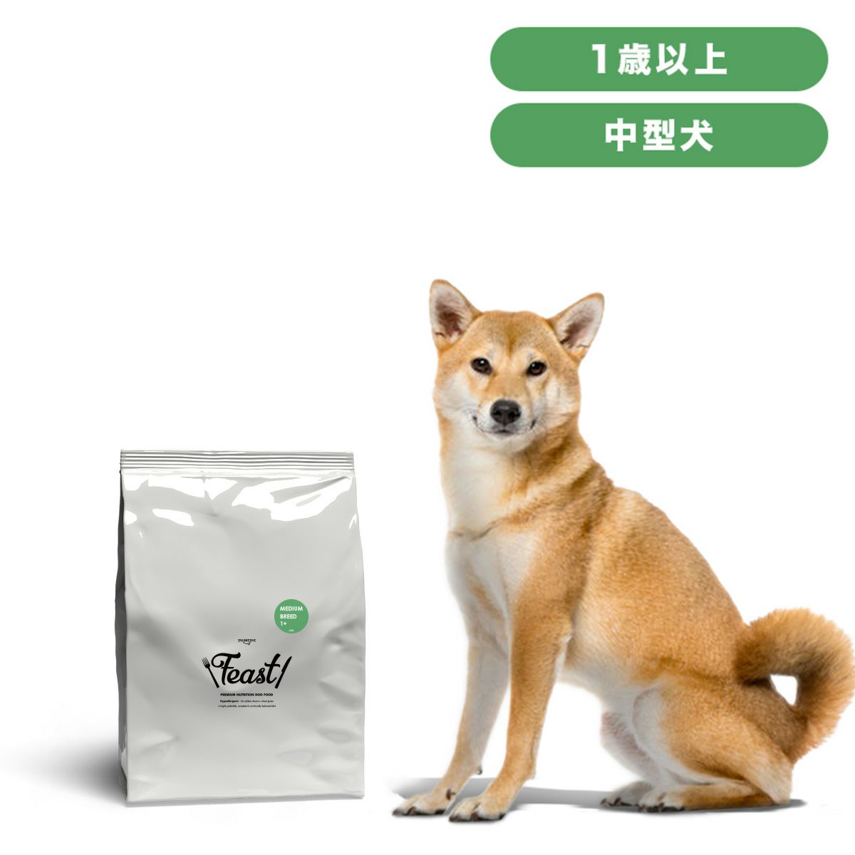 INUMESHI　フィースト　1歳以上　中型犬用　5kg