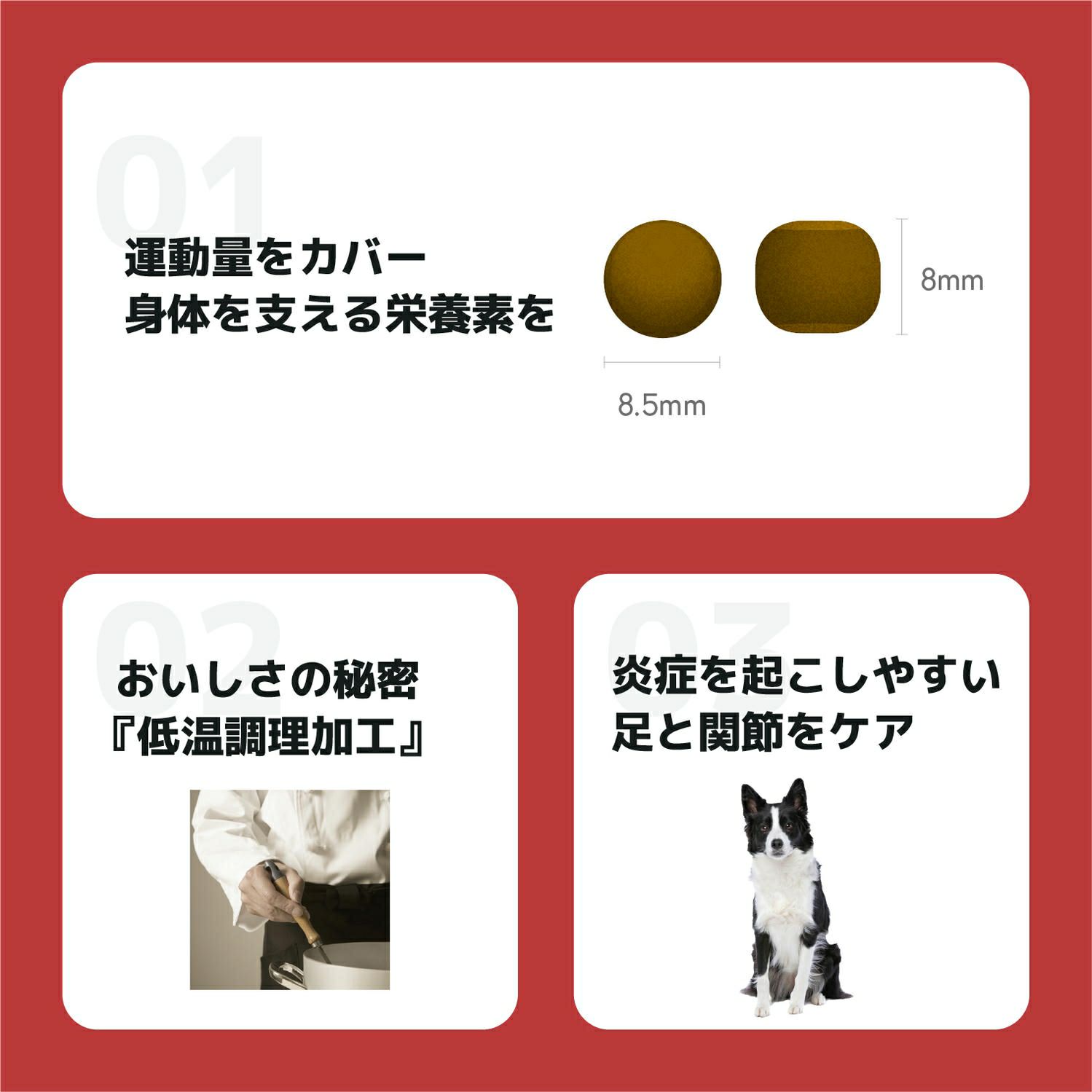 INUMESHI　フィースト　プレミアム　スポーツ　1歳以上　活発犬用　5kg