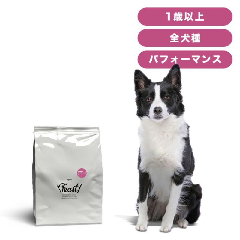 INUMESHI　フィースト　プレミアム　パフォーマンス　1歳以上　活発犬用　5kg