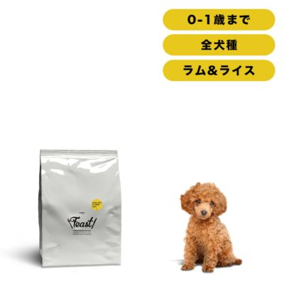 INUMESHI　フィースト　ラム&ライス　子犬用　全犬種用　5kg