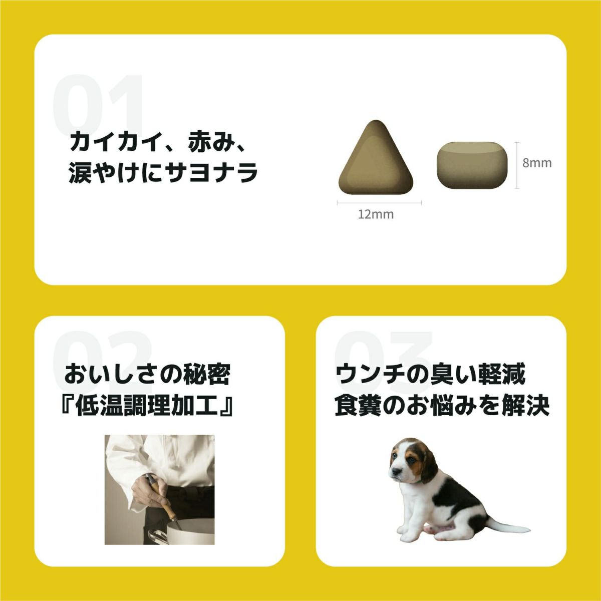 INUMESHI　フィースト　ラム&ライス　子犬用　全犬種用　5kg
