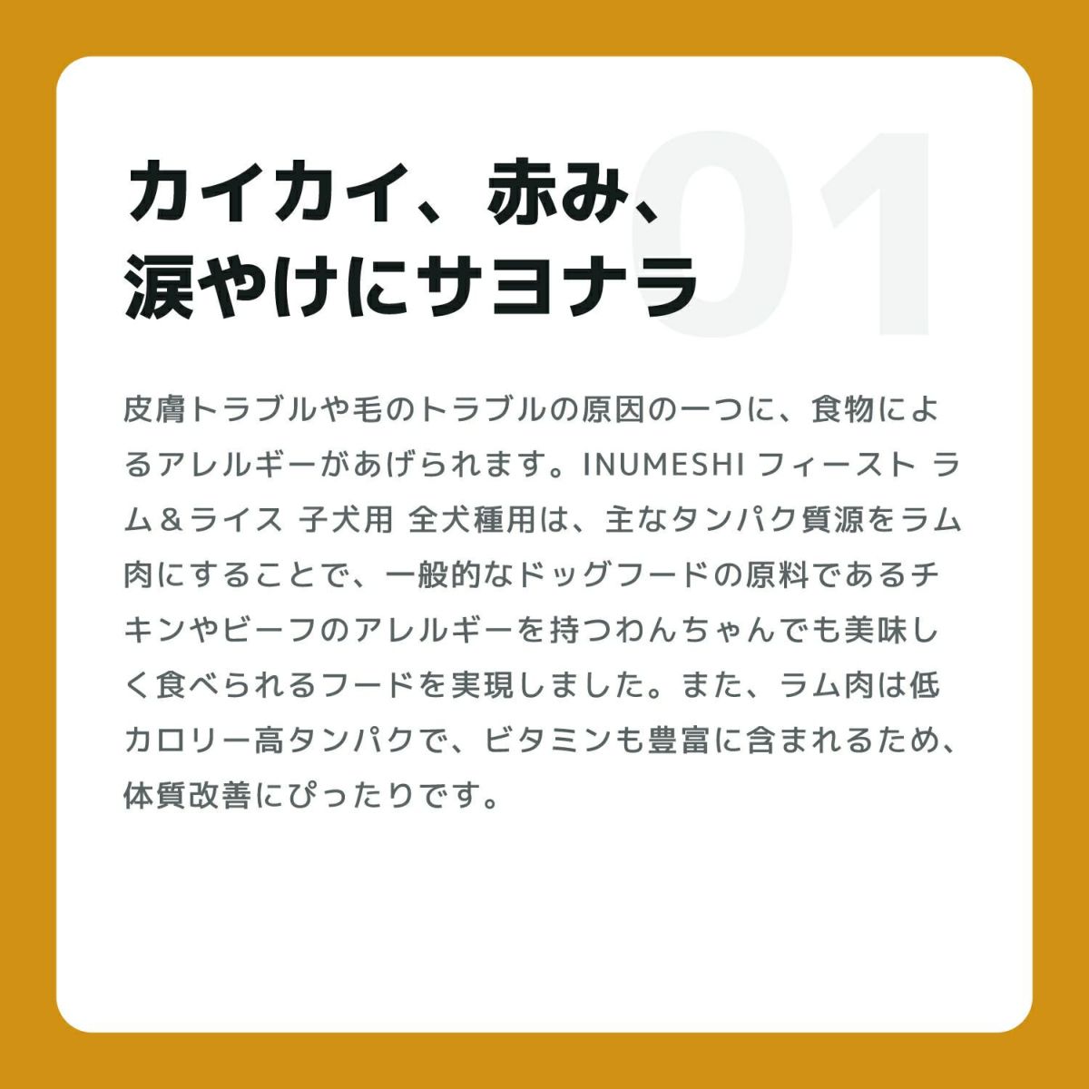 INUMESHI　フィースト　ラム&ライス　1歳以上　小型犬用　5kg