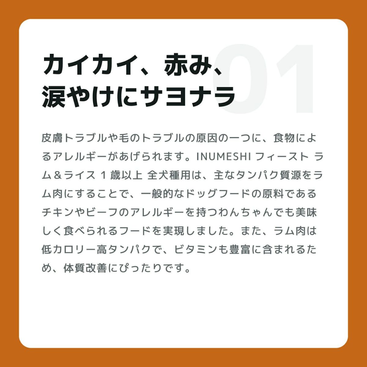 INUMESHI　フィースト　ラム&ライス　1歳以上　全犬種用　5kg