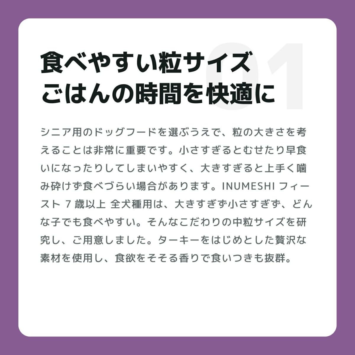 INUMESHI　フィースト　7歳以上　全犬種用　5kg